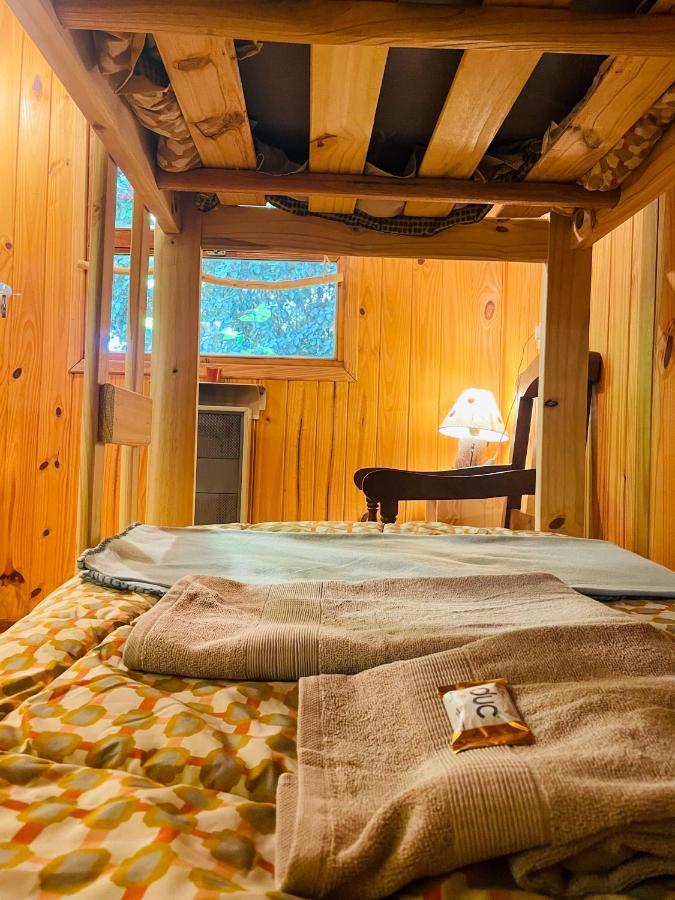 B&B Casa Nomada San Martín de los Andes Dış mekan fotoğraf