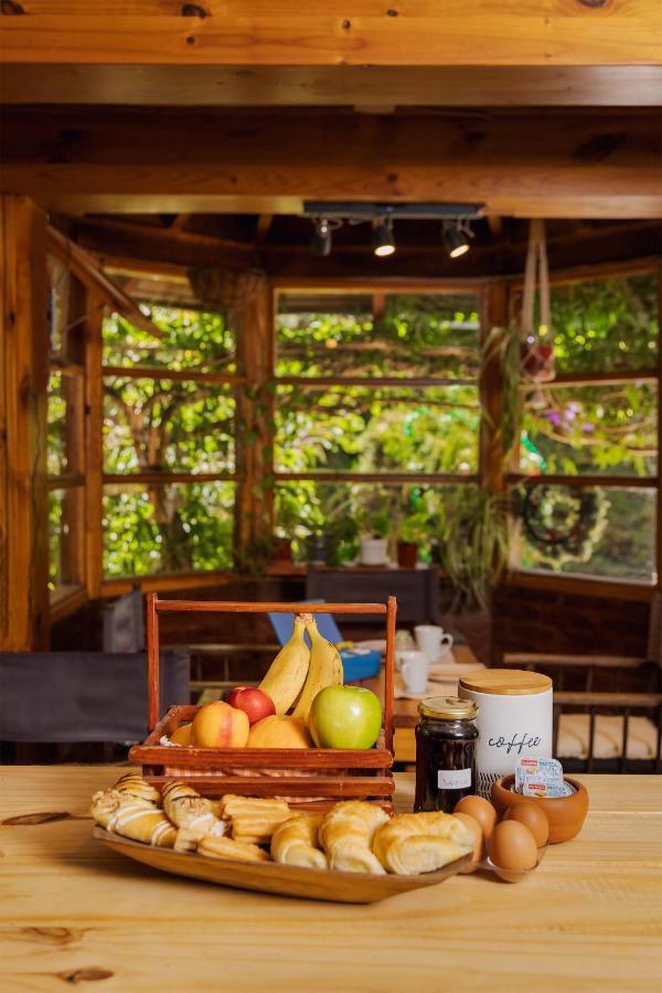 B&B Casa Nomada San Martín de los Andes Dış mekan fotoğraf